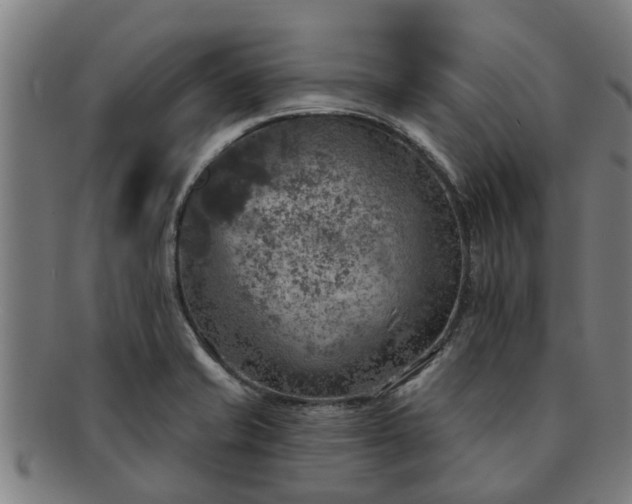 X0000091721421200708311128