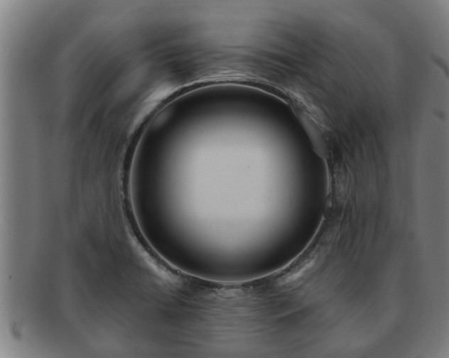 X0000091721422200708311128