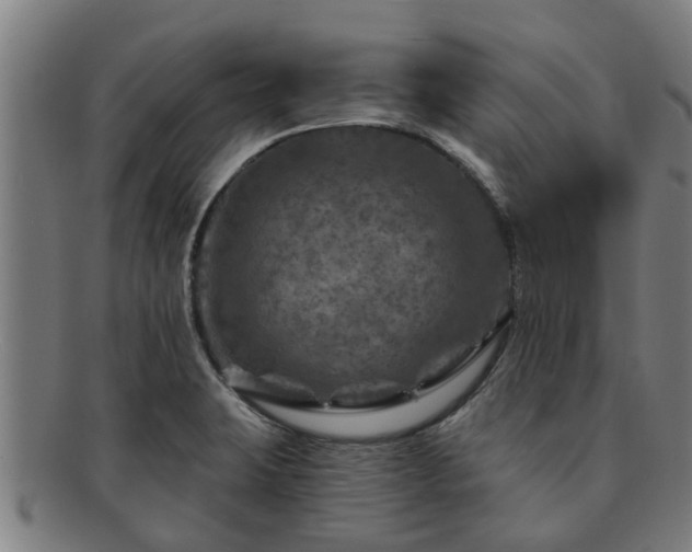 X0000091721423200708311128