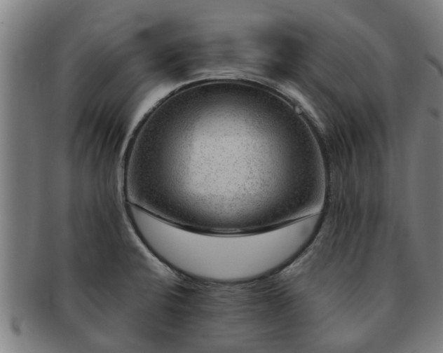 X0000091721424200708311128