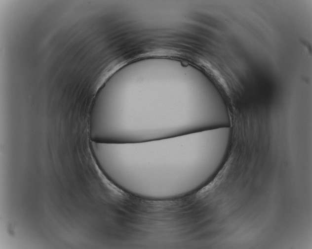 X0000091721425200708311128
