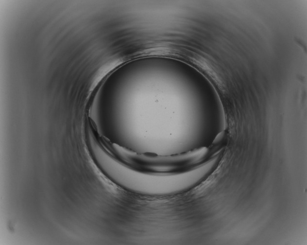 X0000091721426200708311128