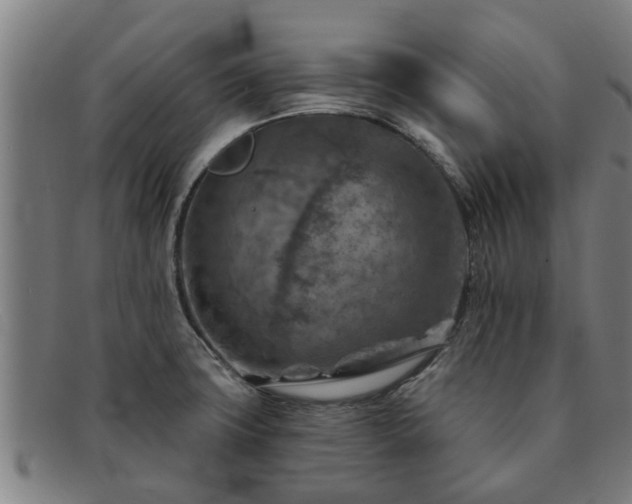 X0000091721427200708311128