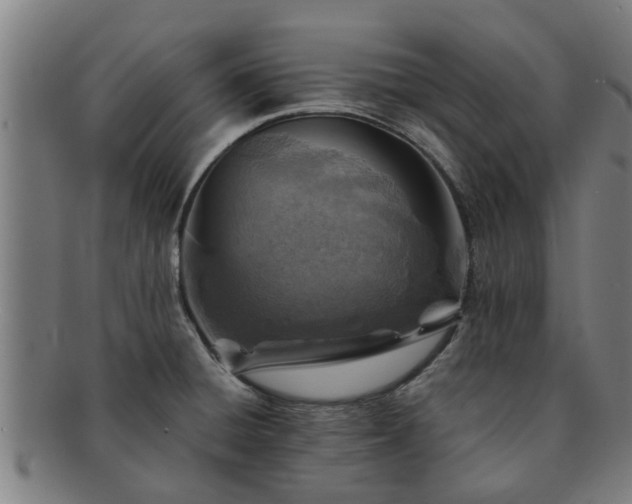 X0000091721428200708311128