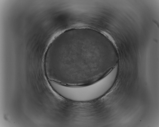 X0000091721429200708311128