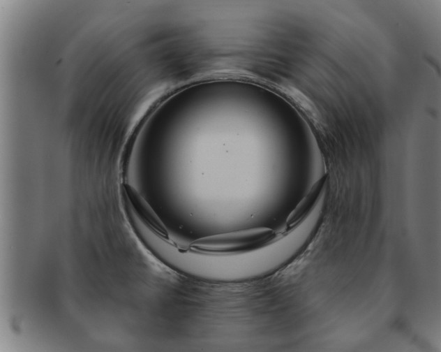 X0000091721430200708311128