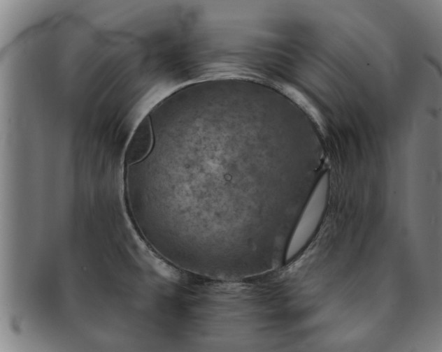 X0000091721431200708311128