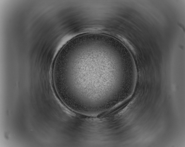 X0000091721432200708311128