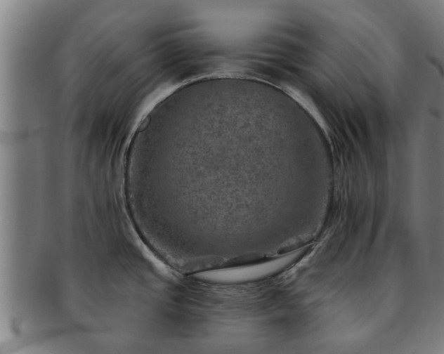 X0000091721437200708311128