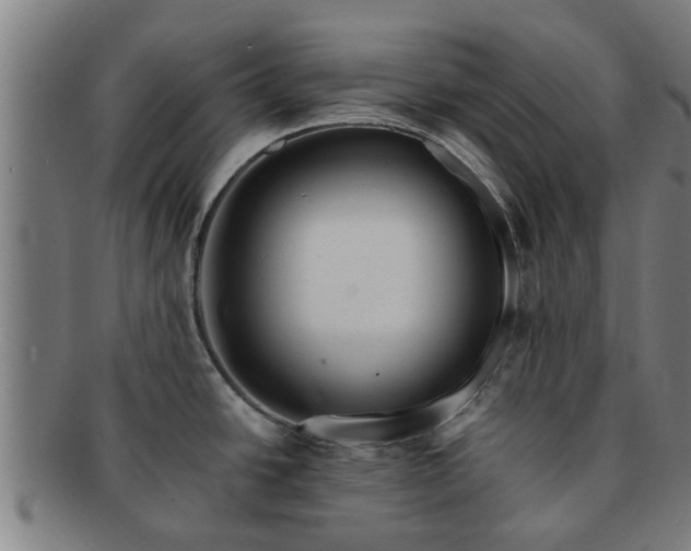 X0000091721438200708311128