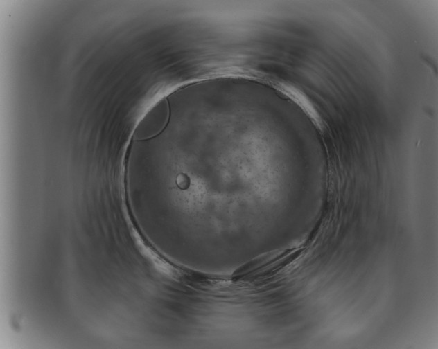 X0000091721439200708311128