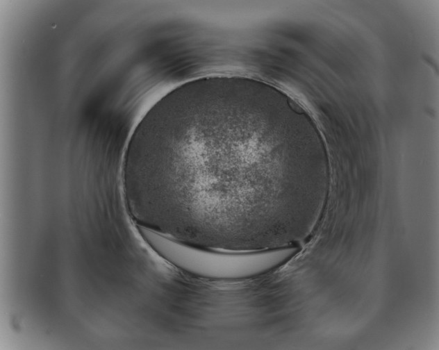 X0000091721440200708311128