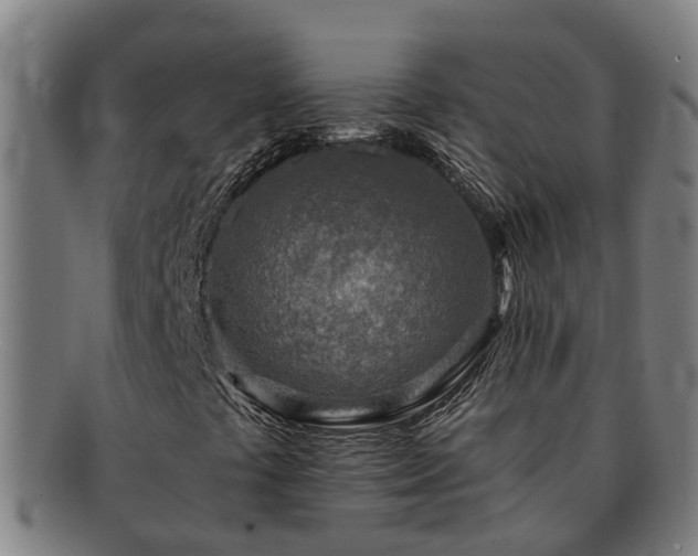 X0000091721441200708311128