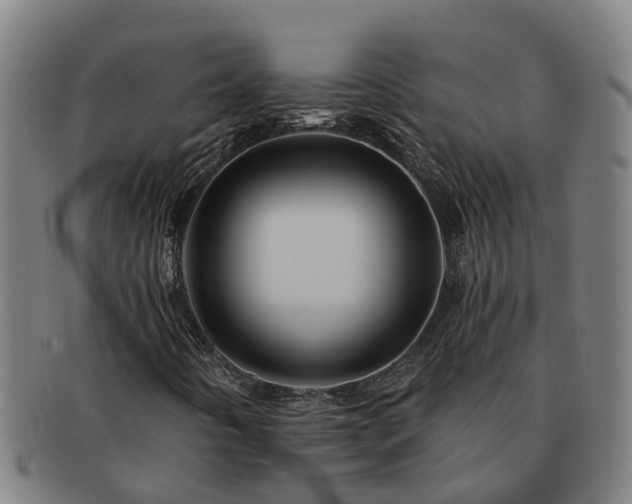X0000091721442200708311128