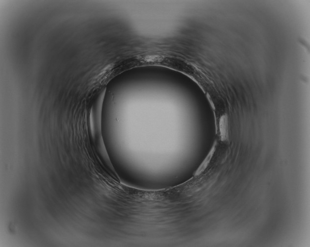 X0000091721443200708311128