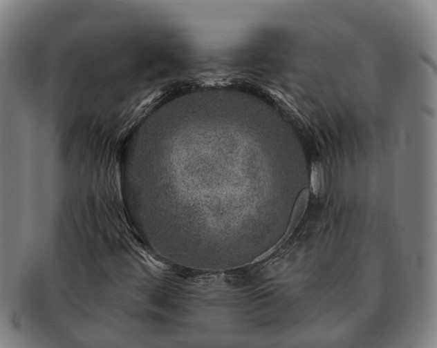 X0000091721444200708311128