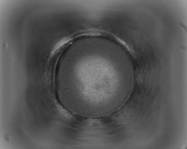 X0000091721448200708311128