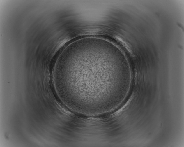 X0000091721449200708311128