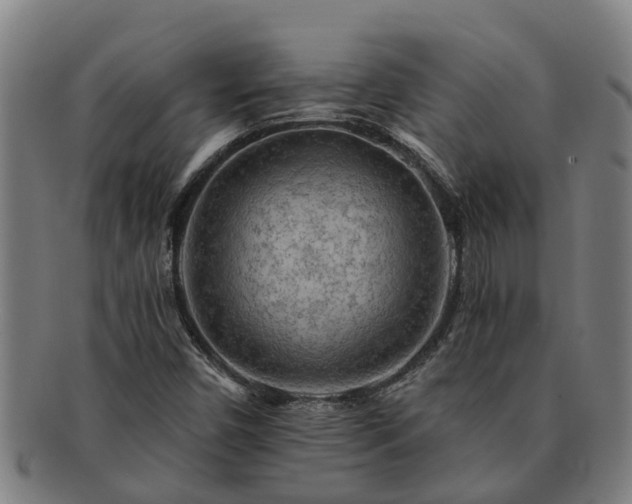X0000091721450200708311128