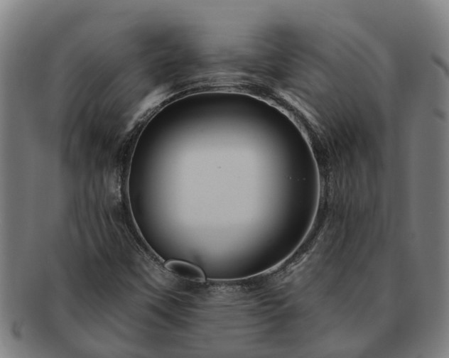X0000091721451200708311128