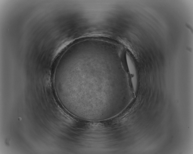 X0000091721452200708311128