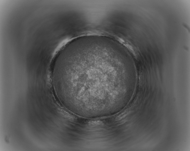X0000091721454200708311127