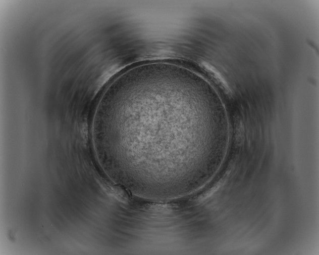 X0000091721457200708311127