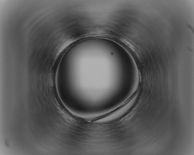 X0000091721458200708311127