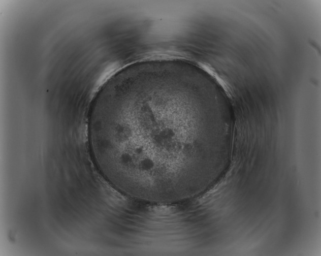 X0000091721459200708311127
