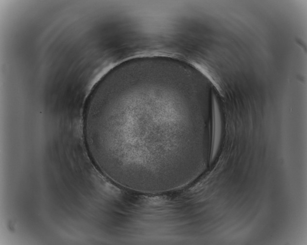 X0000091721460200708311127