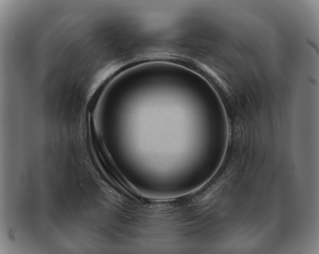 X0000091721461200708311127