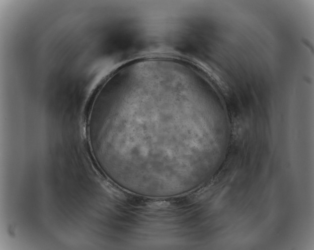 X0000091721462200708311127