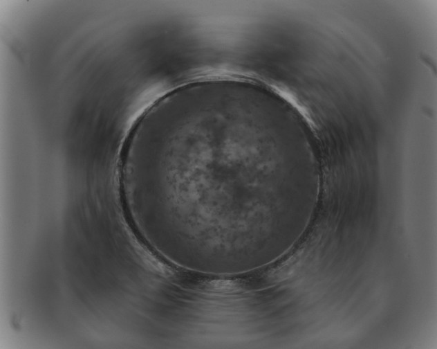 X0000091721463200708311127