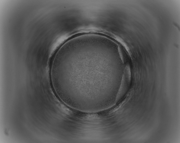 X0000091721464200708311127