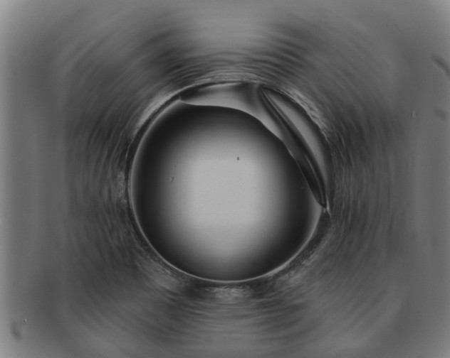 X0000091721465200708311127
