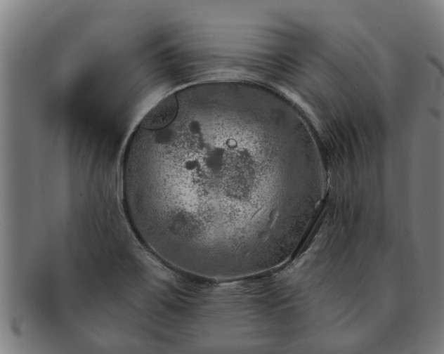 X0000091721467200708311127