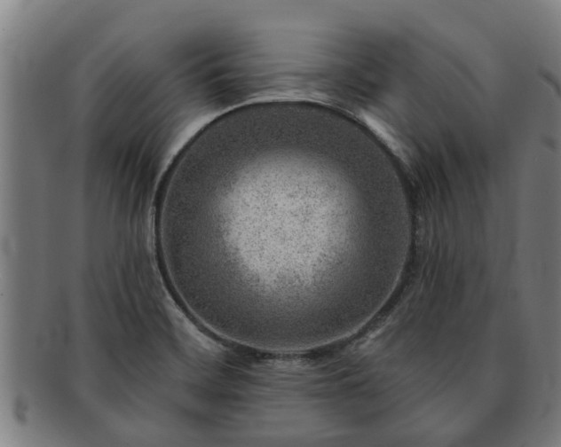 X0000091721468200708311127