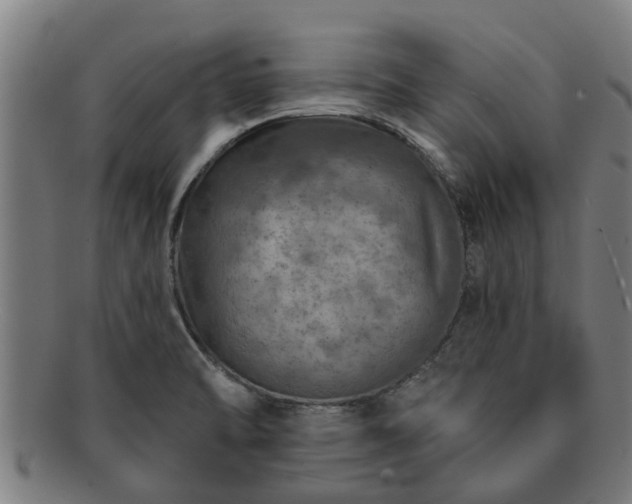 X0000091721470200708311127