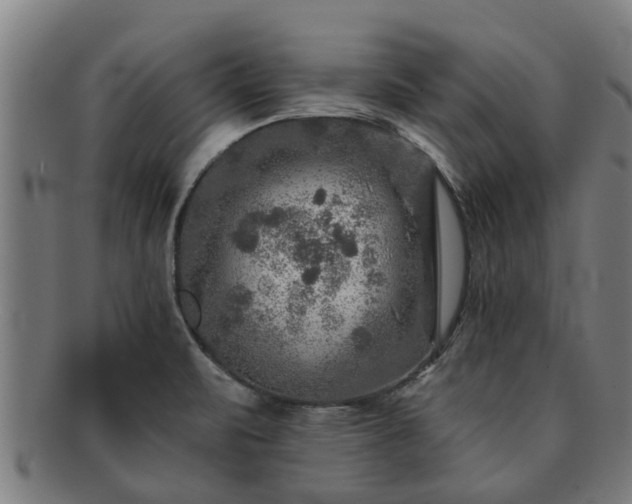 X0000091721471200708311127