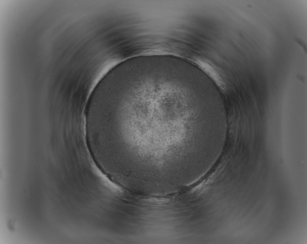 X0000091721476200708311127