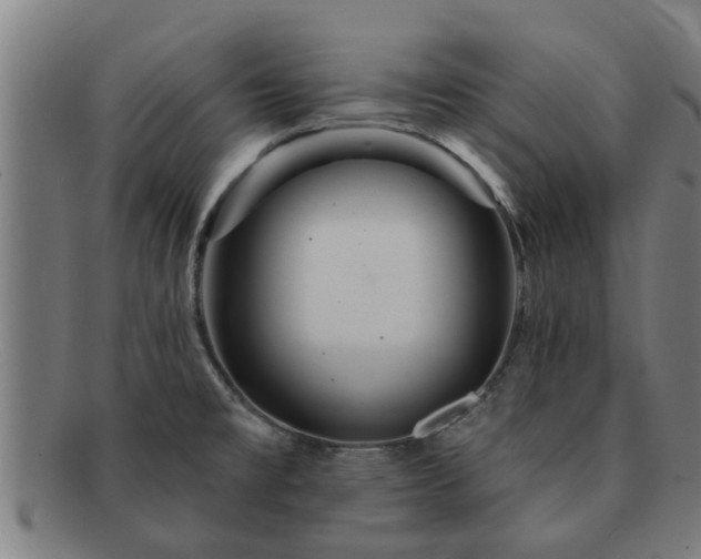 X0000091721477200708311127