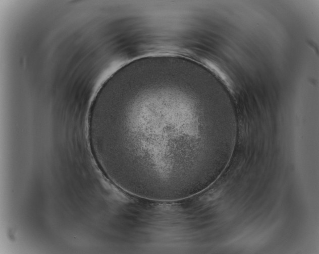 X0000091721480200708311127