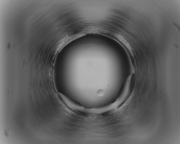 X0000091721481200708311127
