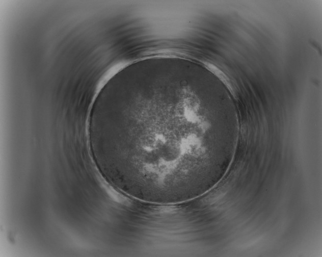 X0000091721482200708311127