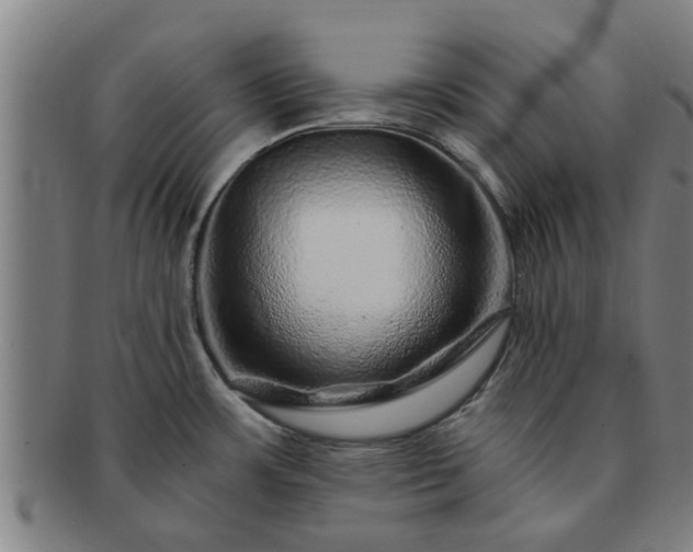X0000091721483200708311127