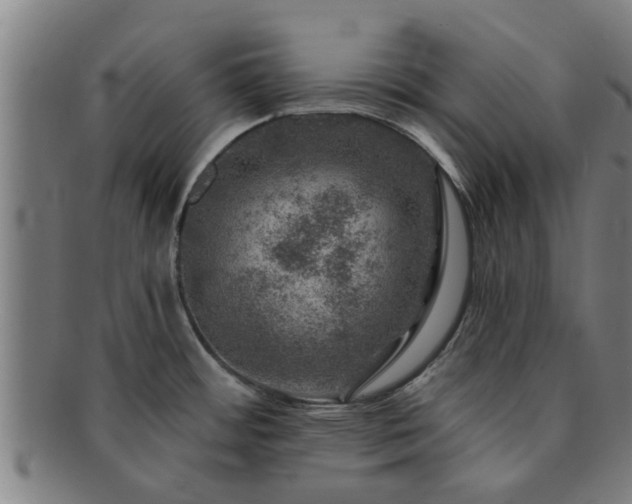 X0000091721484200708311127