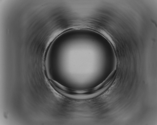 X0000091721485200708311127