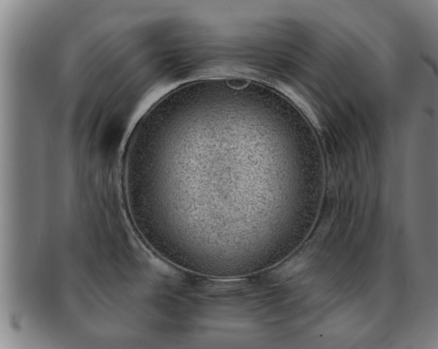 X0000091721486200708311127