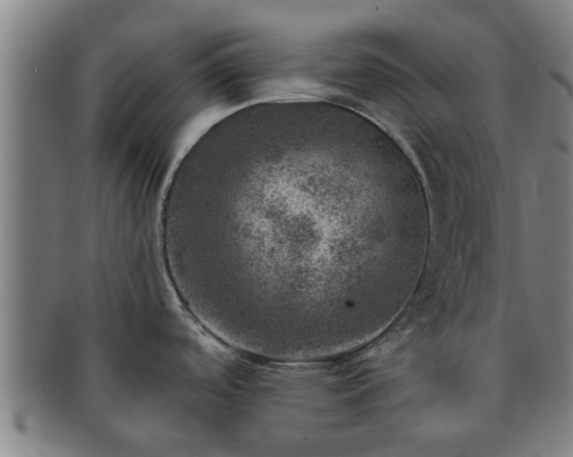 X0000091721488200708311127