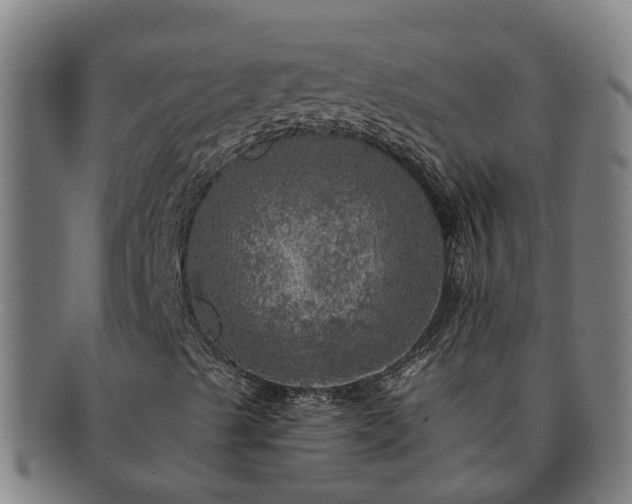 X0000091721489200708311126